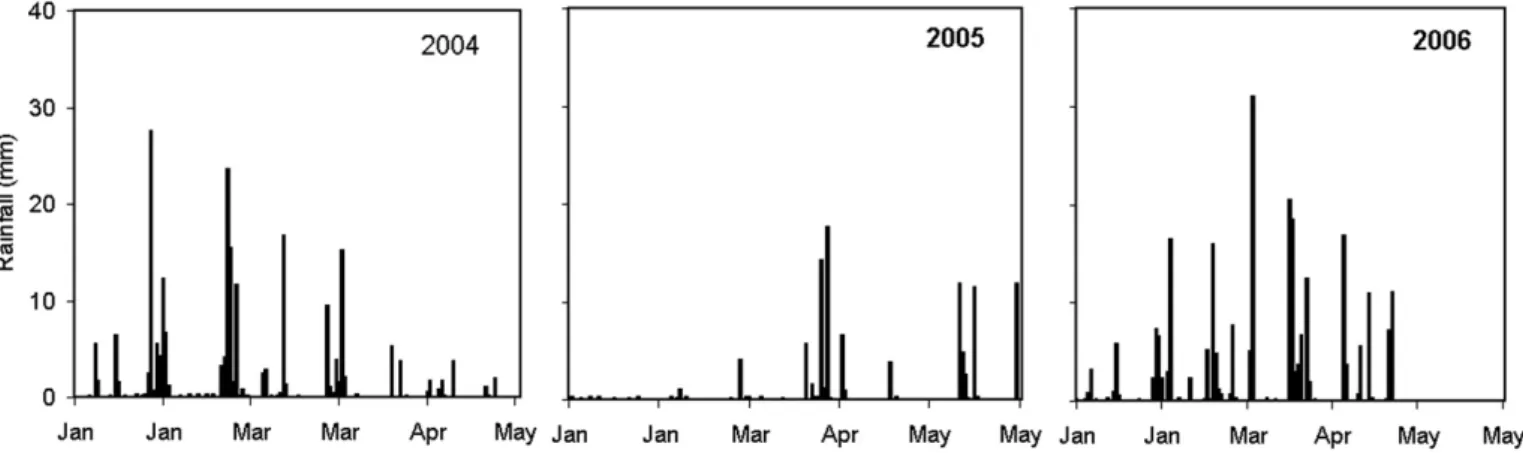 Fig. 1. Daily rainfall amounts during spring period between 2004 and 2006 when measurements were conducted.