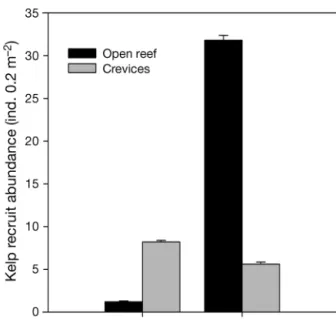Fig. 1. Abundance of kelp recruits in each of two habitat types (open reef and crevices) at Peniche and Vila do Conde, 