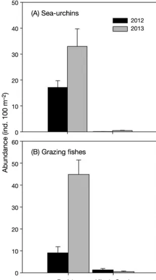 Fig. 4. Abundance of (A) sea urchins and (B) grazing fishes at Peniche and Vila do Conde, Portugal, in 2012 and 2013 