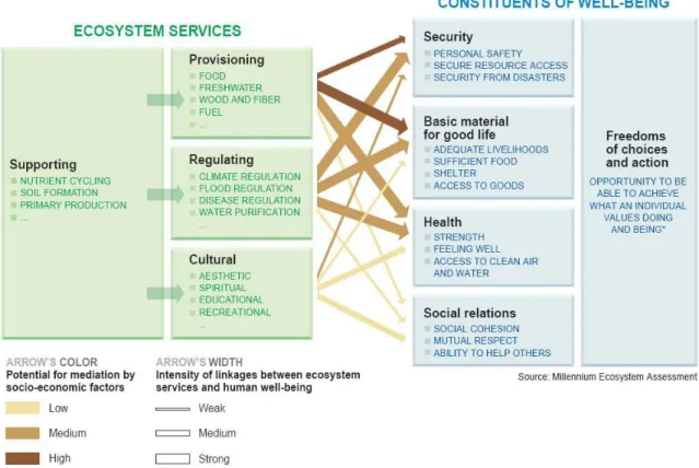 Figura  1.3  –  Ligações  entre  Serviços  do  Ecossistema  e  Bem-estar  Humano  (adaptado  de  Millennium  Ecosystem  Assessment,  2005:  VI)