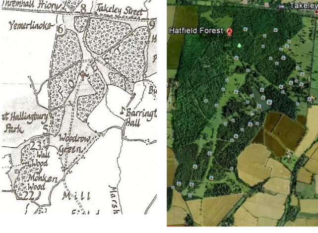 Figura  1.18  –  Hatfield  Forest  em  finais  do  século  XIII (Rackham, 1989: 63).   