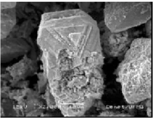 Figura 3.3 – MEV de partículas de magnetita presentes no concentrado de minério de  ferro