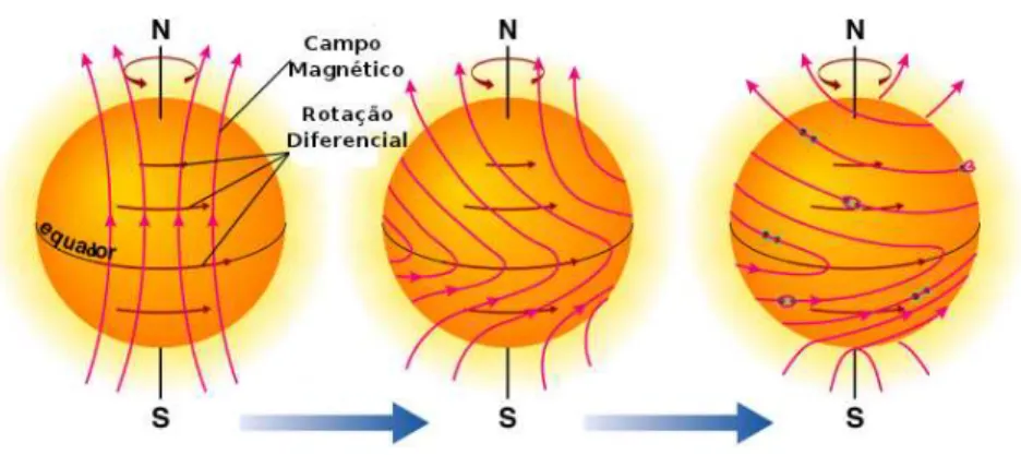 Figura 1.3: A rotação diferencial provoca a distorção das linhas de campo magnético que, aliada à convecção acarreta na atividade solar (manchas, erupções, fáculas)