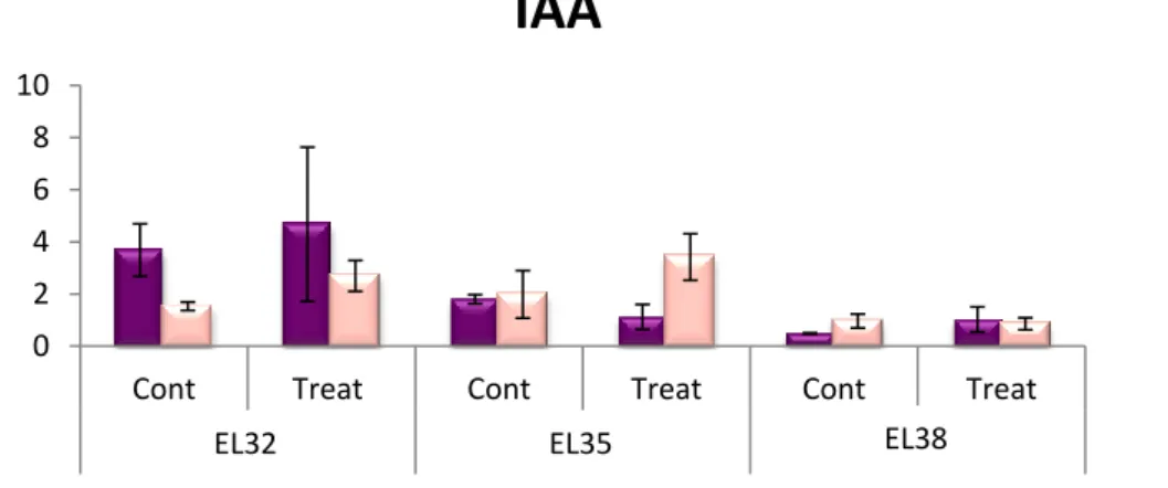 Figure  3.5  –  Hormonal  quantification  of  indole-3-acetic  acid  (IAA)  in  Trincadeira  and  Syrah  across  three  development  stages:  green (EL32), veraison  (EL35) and  harvest  (EL38)