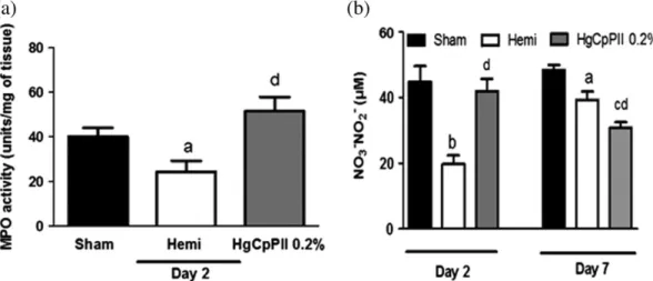 FIGURE 5 Pro ‐ inflammatory cytokines measured in wounds. On Day 2 after surgery, animals were sacrificed, and tissues in the excisional wounds were removed to determine interleukin (IL) ‐ 1 (a) and IL ‐ 6 (b) cytokines levels by enzyme linked immunosorben