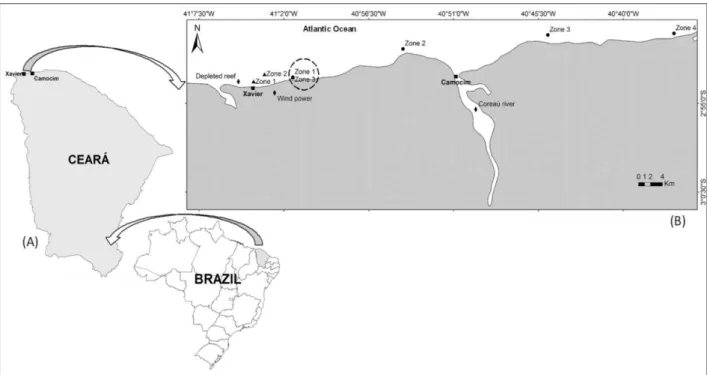 Fig. 1. Mapa do estado do Ceará-BR com ênfase nas zonas de pesca de pepinos do mar. Legenda: ▲= zonas pesqueiras  exploradas por pescadores de Xavier, Zone 1(Xavier 1), Zone 2 (Xavier 2), Zone 3( Zona de conflito); ● =  zonas de  pesca exploradas pelos pes