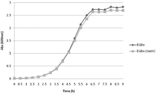 Figure    7  –  Growth  curves  of  L.  monocytogenes  EGDe  and  EGDe  ΔtatAC  mutant  grown  in  complete medium (BHI) at 37 ˚C