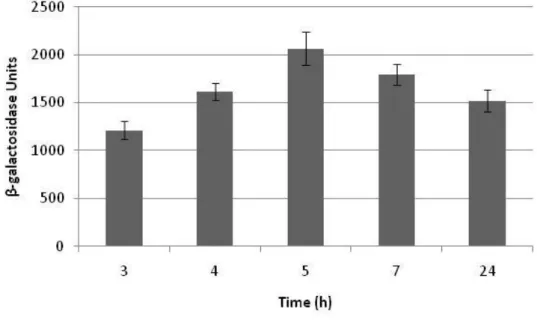 Figure  11 – Comparison of lmo0362 promoter activity at different time points during growth (3,  4, 5, 7 and 24 hours in BHI, at 37 ˚C)