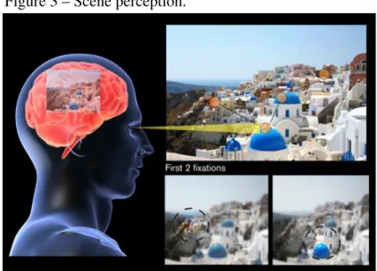Figure 3 – Scene perception.