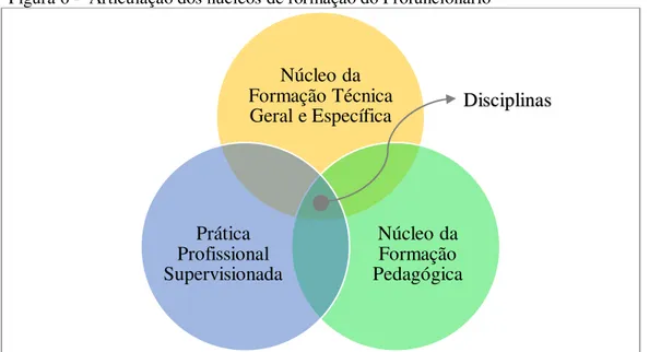 Figura 6 -  Articulação dos núcleos de formação do Profuncionário 