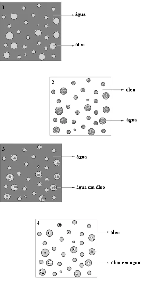 Figura 6. Representação esquemática dos tipos de emulsões descritos. 1. emulsão O/A; 2
