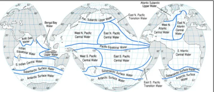 Figura 22 - Diferentes tipos de massas de água em todos os oceanos. Fonte: Ocean Circulation p.174.