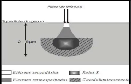 Figura 7 Representação esquemática da região de ionização gerada na interação   do feixe de elétrons com a superfície do material