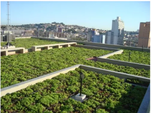Figura 21: Implantação de telhado verde no Banco do Brasil – Belo Horizonte 