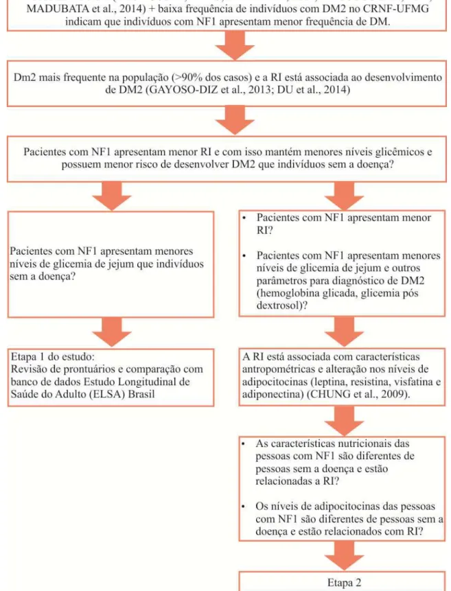 FIGURA 1:  Resumo da construção das hipóteses para esta tese. 