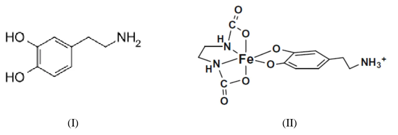 Figura 3  – Em I a estrutura da dopamina. Em II a estrutura do complexo formado 