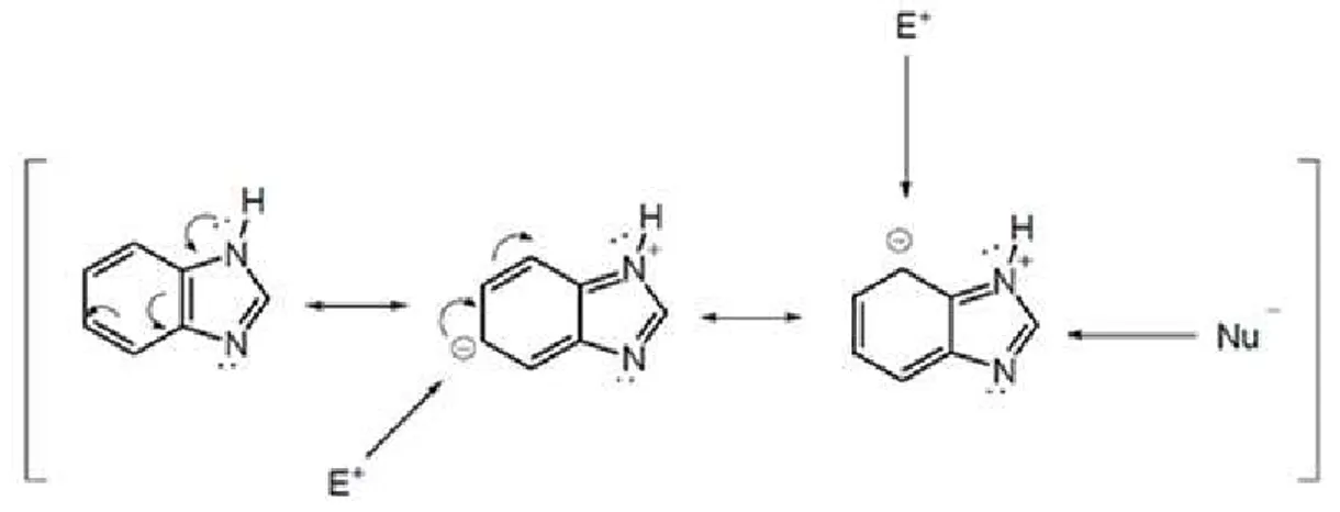 Figura 4 - Estruturas de ressonância do benzimidazol 