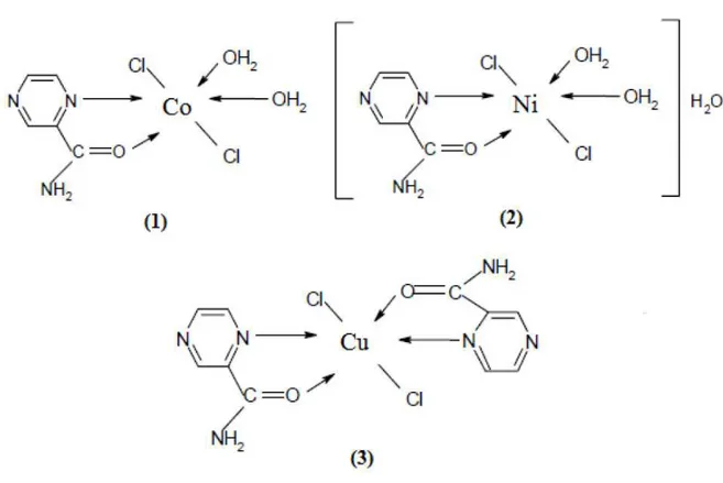 Figura 11  – Estruturas propostas para os complexos pirazina-2-carboxiamida com os metais 