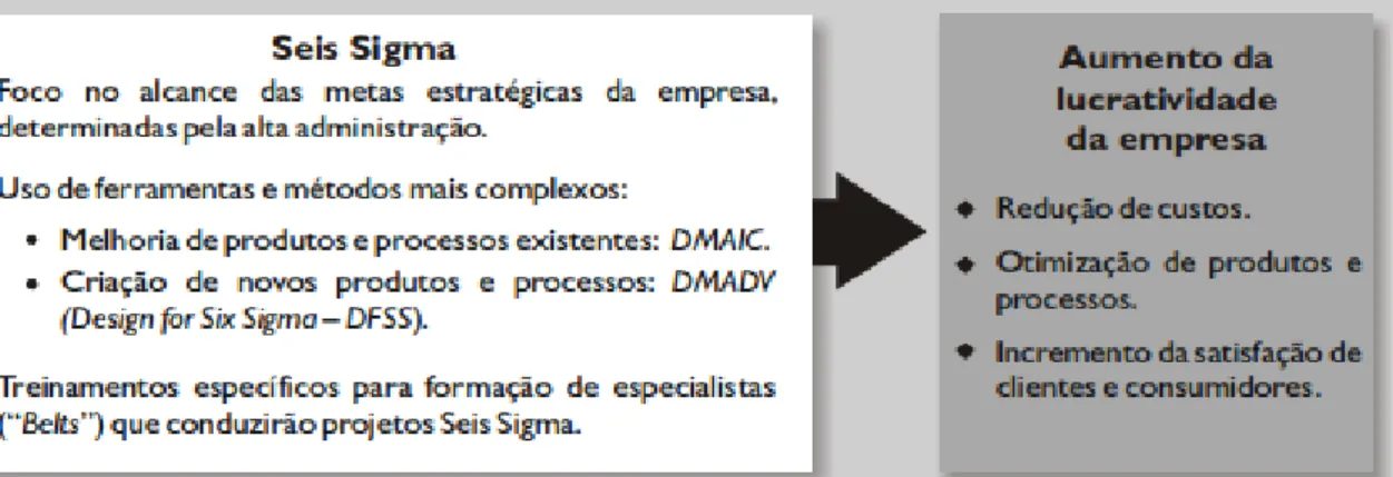 Figura 1: Lógica de Six Sigma  Fonte: Werkema, 2006. 