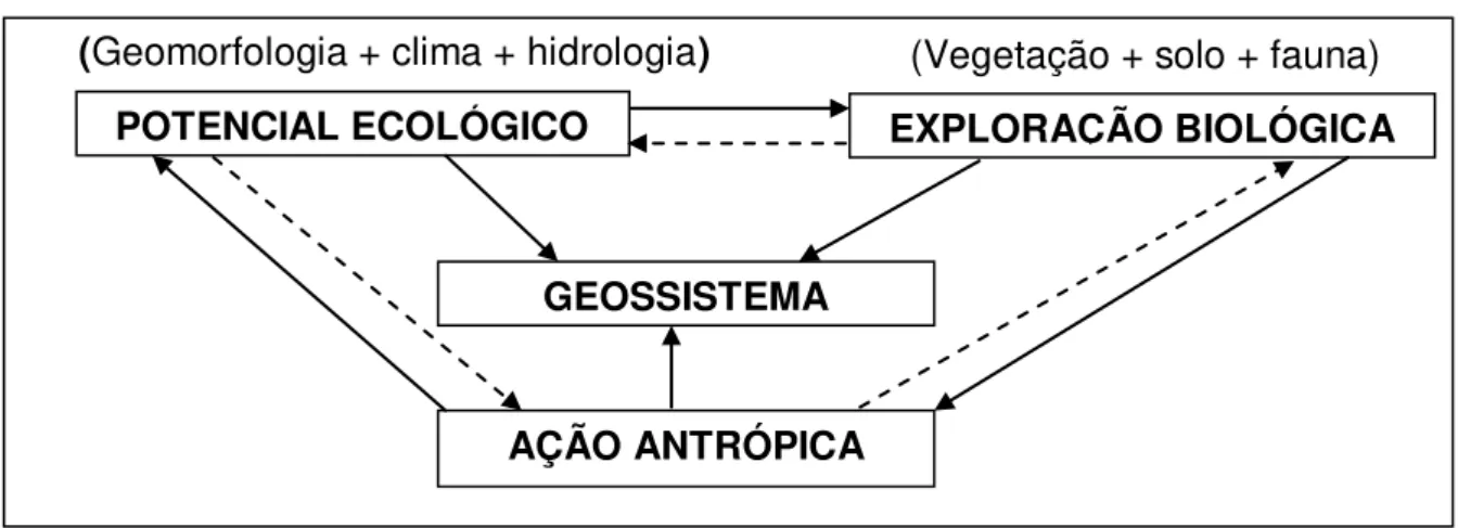 Figura 1: Esboço da Teoria Geossistêmica nas suas interações com o meio ambiente. 