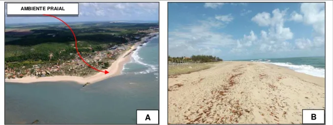 Figura 10 - (A): Ambiente praial na desembocadura do rio Curimataú, em 31/03/2010. (B)