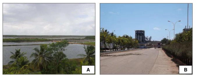 Figura  16  -  (A):  Área  de  carcinicultura  no  estuário  do  rio  Curimataú/Cunhaú,  30/10/2012