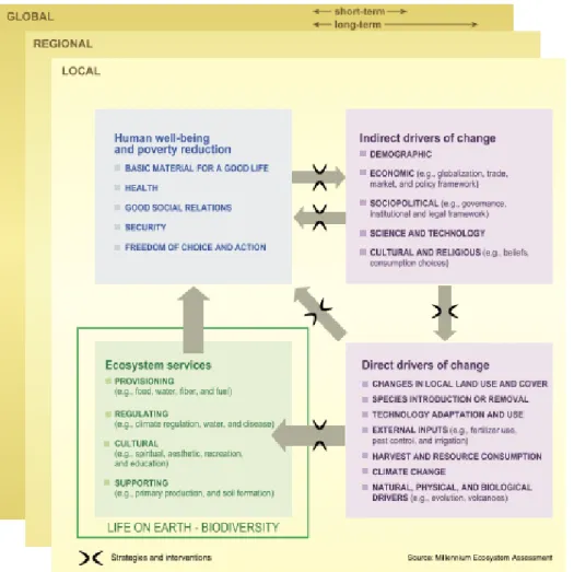 Figure 1: The conceptual framework of the Millennium Ecosystem Assessment (MA, 2005). 