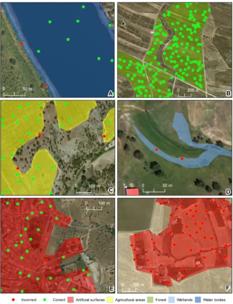 Figure 7. Example of correct and incorrect training samples for each LULC class. 