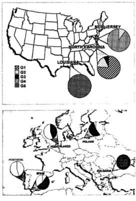 Fig.  l.  Sampling sites  of  Rhithropanopeus
