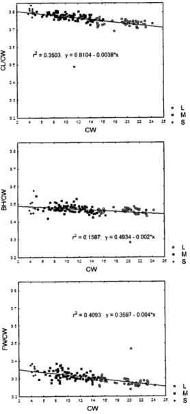 Fig. 7.  Regression  analysis  with  regression lines  and equations  of  three morphometric ratios relative  to  carapace  width (CW)  (see