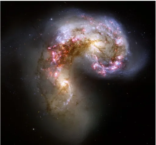 Fig. 2: NGC 4038 and NGC 4039, also known as the Antennae galaxies are one of the most illustrative examples of galaxy mergers