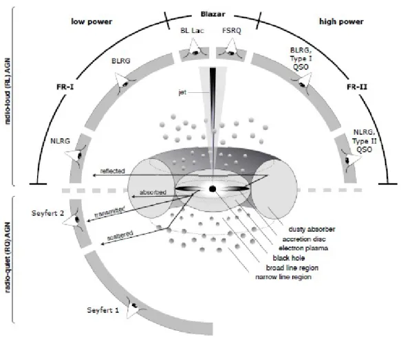 Fig. 5: Schematic illustrating how line of sight affects our perception of an AGN. Source: Beckmann, V