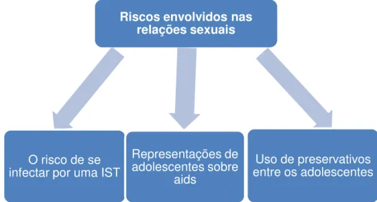 FIGURA 06  –  Subcategorias de Riscos envolvidos nas relações  sexuais. Belo Horizonte, 2016