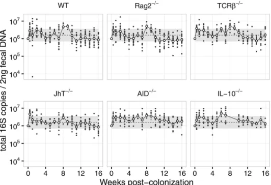 Figure  S2.1  -  Total 16S levels in fecal DNA after  H. hepaticus  colonization  (complementary to Figures 2.1A, 2.2A and 2.3A)