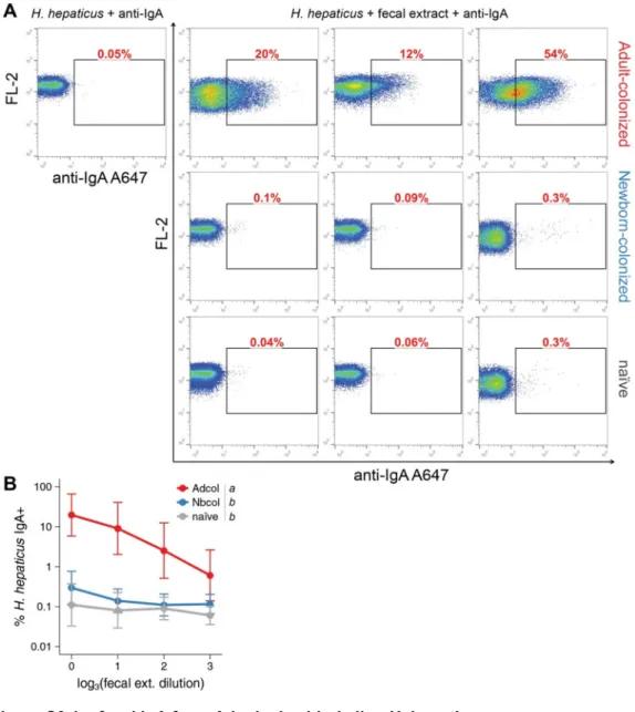 Figure S3.1 – fecal IgA from Adcol mice binds live H. hepaticus 