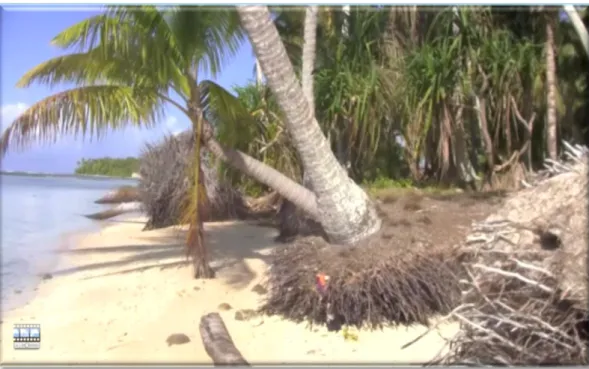 Figure 4 - Coastal erosion on Nukufetau island. 