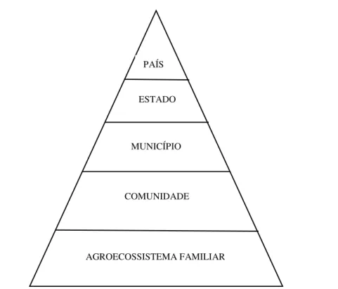 Figura 2  –  Hierarquia de Sistemas