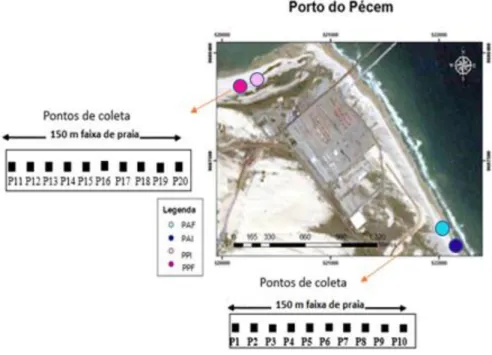 Tabela 2. Data e regime de marés da coleta de sedimentos nos pontos FA e FP nas adjacências  do porto de Fortaleza