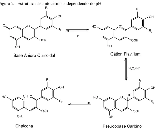 Figura 2 - Estrutura das antocianinas dependendo do pH 