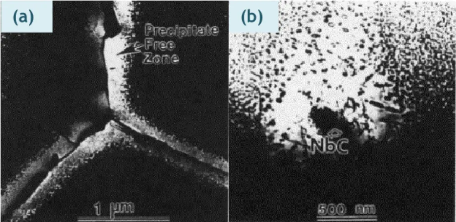 Figura II - 18. Imagens TEM da microestrutura da liga Inconel 625 envelhecida a 760 °C/24 h; (a) evidenciando  uma  zona  livre  de  precipitados  na  fronteiras  de  grão;  (b)  mostrando  uma  zona  livre  de  γ ’’   em  torno  de  um  carboneto NbC [38]