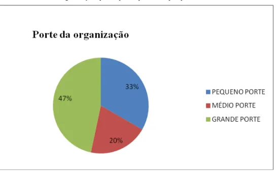 Gráfico 5- Porte da organização que os participantes da pesquisa atuam.