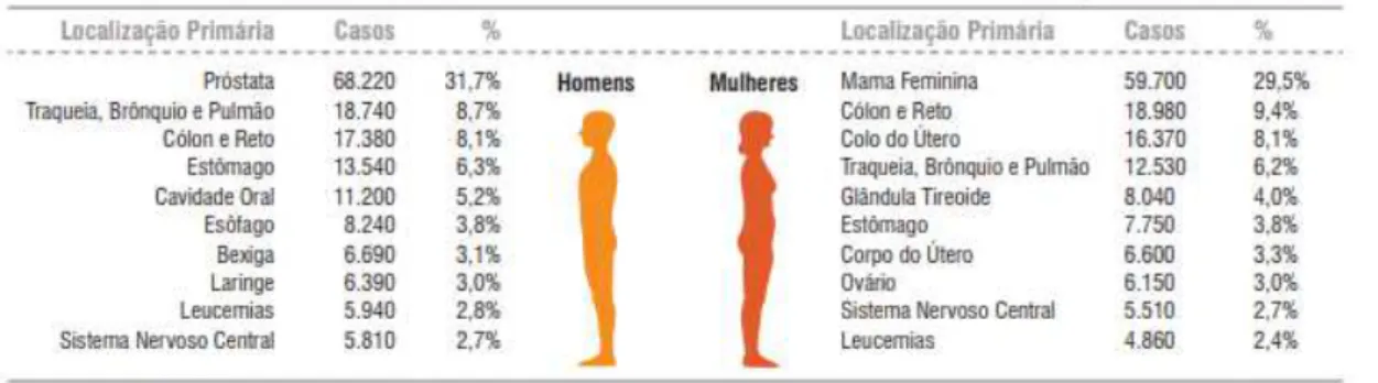 Figura 2  –  Distribuição proporcional dos dez tipos de câncer mais incidentes estimados  para 2018, por sexo, exceto pele não melanoma*