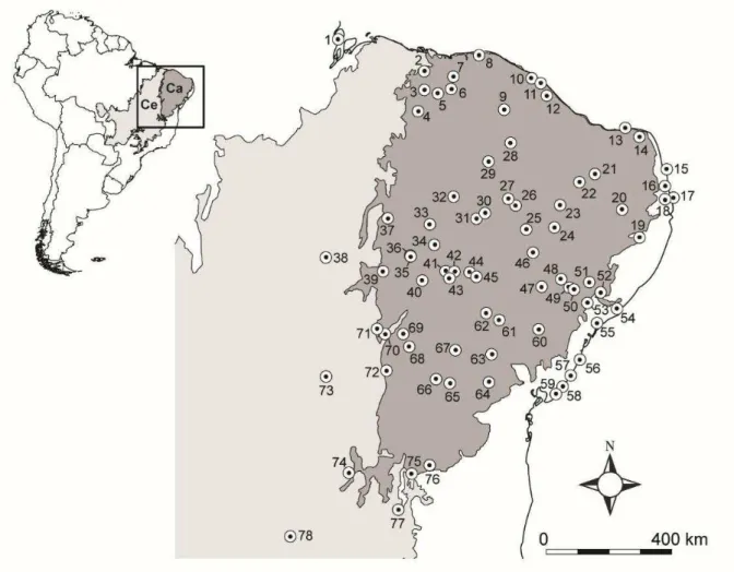 Fig. 1. Distribution of sampled localities for Cnemidophorus ocellifer species complex