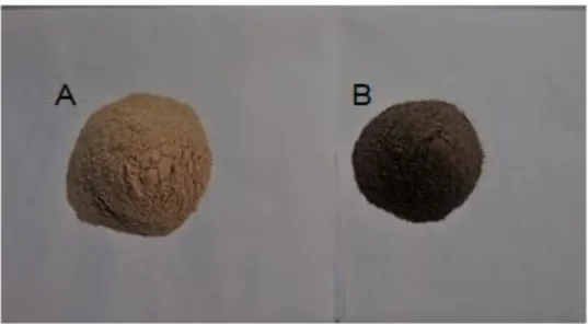 Figura 6 - Pimenta branca em pó (A), pimenta preta em pó (B).