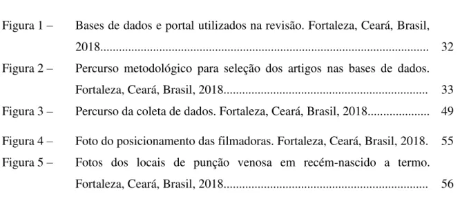 Figura 1 –  Bases de dados e portal utilizados na revisão. Fortaleza, Ceará, Brasil,  2018.........................................................................................................