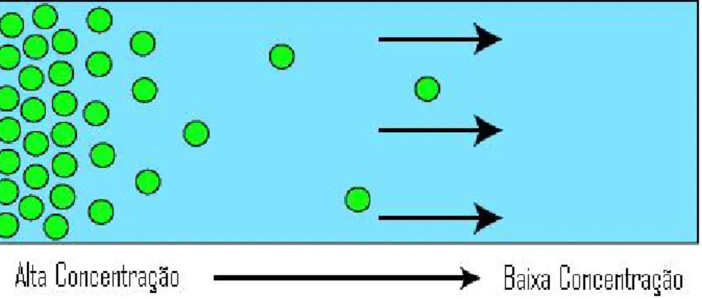 Figura 3: Processo de difus˜ ao normal. As part´ıculas fluem do meio mais concentrado para o menos concentrado