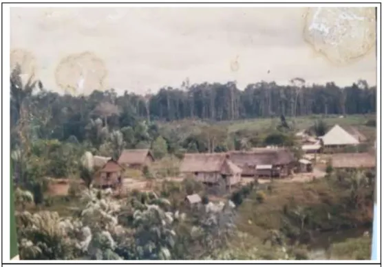 Foto 9: Céu do Mapiá em meados da década de 1980. Foto: Ivan 