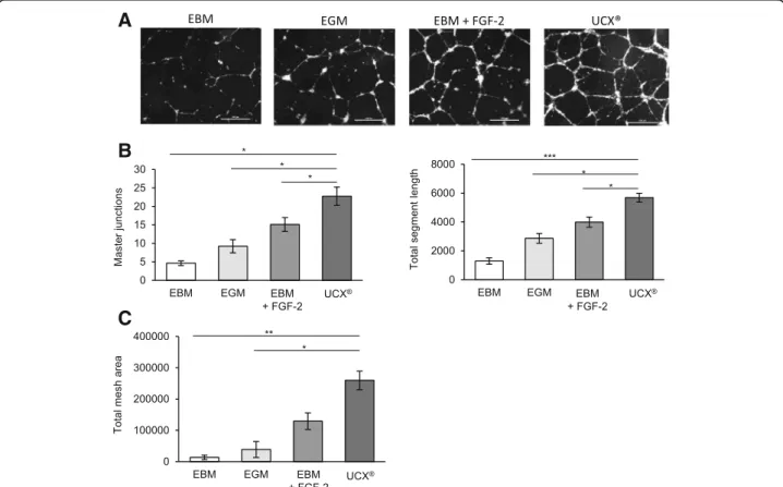 Fig. 1 UCX® promote tubulogenesis. Matrigel assay was performed by seeding human umbilical vein endothelial cells (HUVECs) in endothelial basal medium (EBM), endothelial growth medium (EGM), EBM supplemented with fibroblast growth factor 2 (FGF-2) (EBM + F