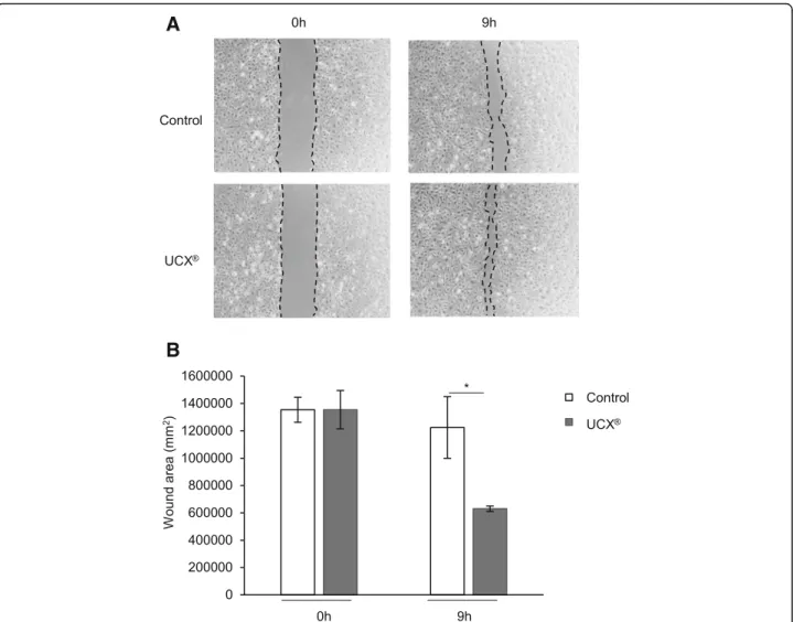 Fig. 2 UCX® stimulate endothelial cell migration. Human umbilical vein endothelial cells (HUVECs) were seeded to confluence in endothelial basal medium (EBM) supplemented with 5 % FBS and cultured for 16 hours after wounding