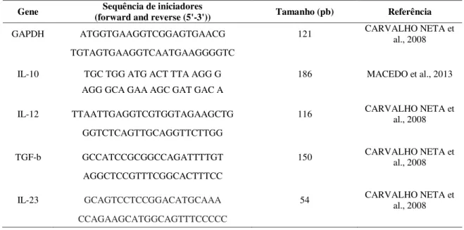 Tabela  5:  Genes e  iniciadores avaliados nas reações de PCR em tempo real para avaliação do perfil de  transcritos de citocinas em macrófagos bovinos infectados com Clostridium chauvoei na forma esporulada  e vegetativa 